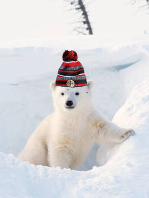 New Era Halfsies Beanie